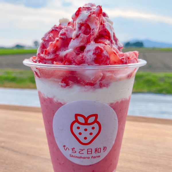 いちご日和りスペシャル(スムージー+削りいちご)