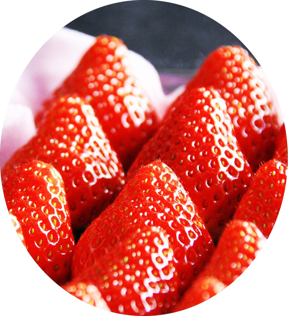 美味しそうな苺